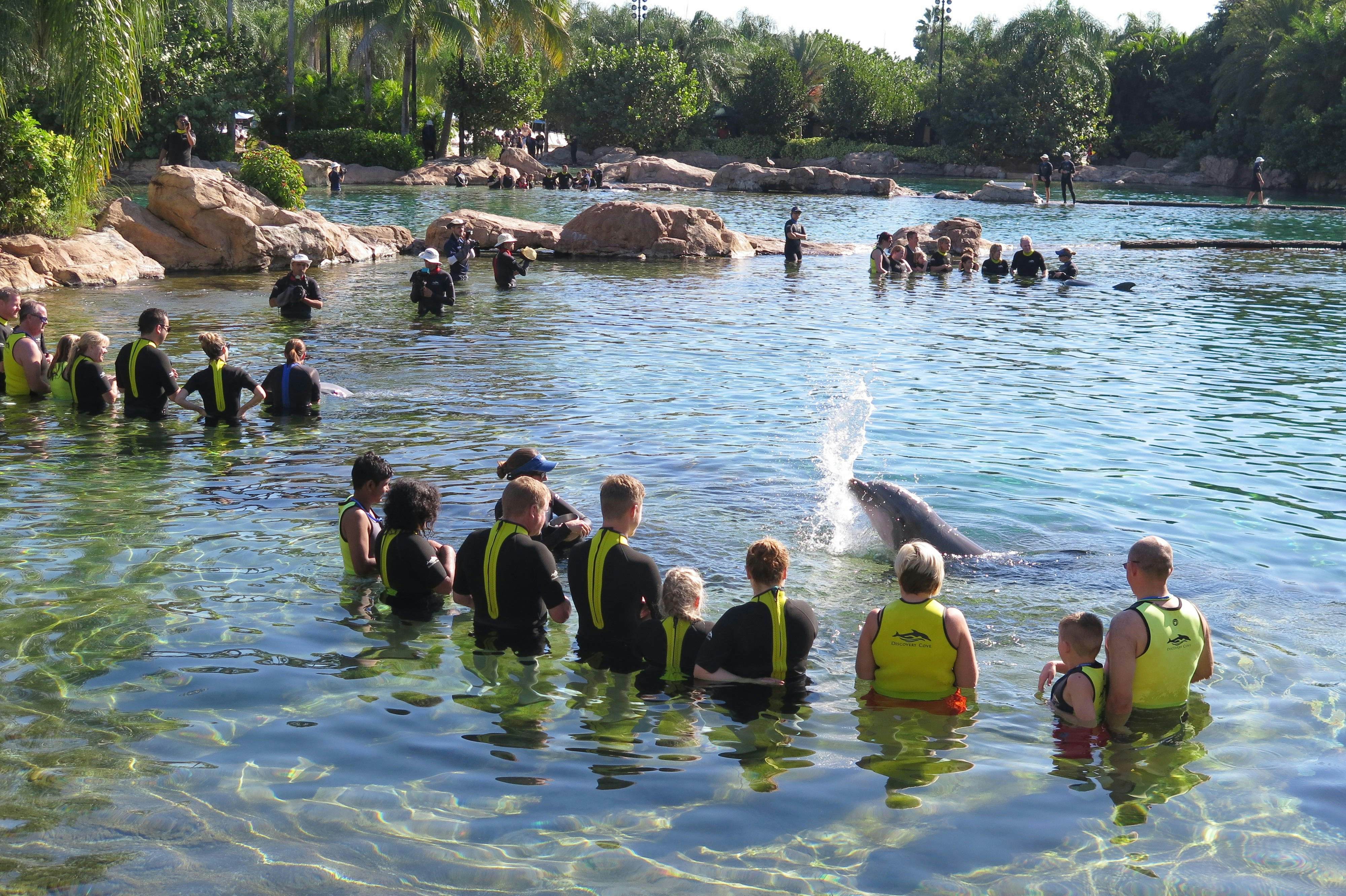 EABWK7 Discovery Cove, Orlando, Florida
